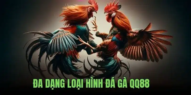 Đa dạng loại hình đá gà QQ88 cực đỉnh